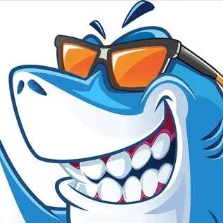 海盗鲨小说大全