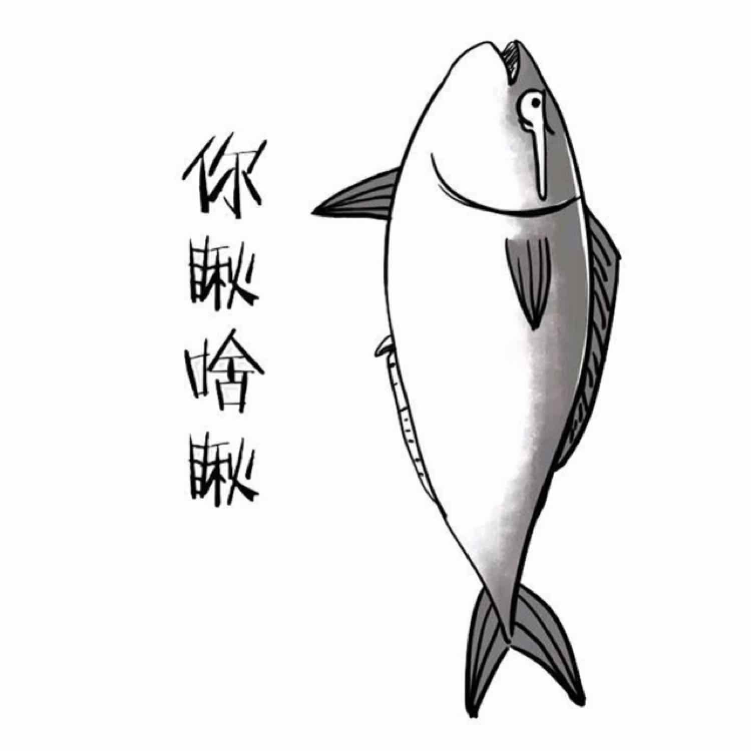 划水闲鱼的头像