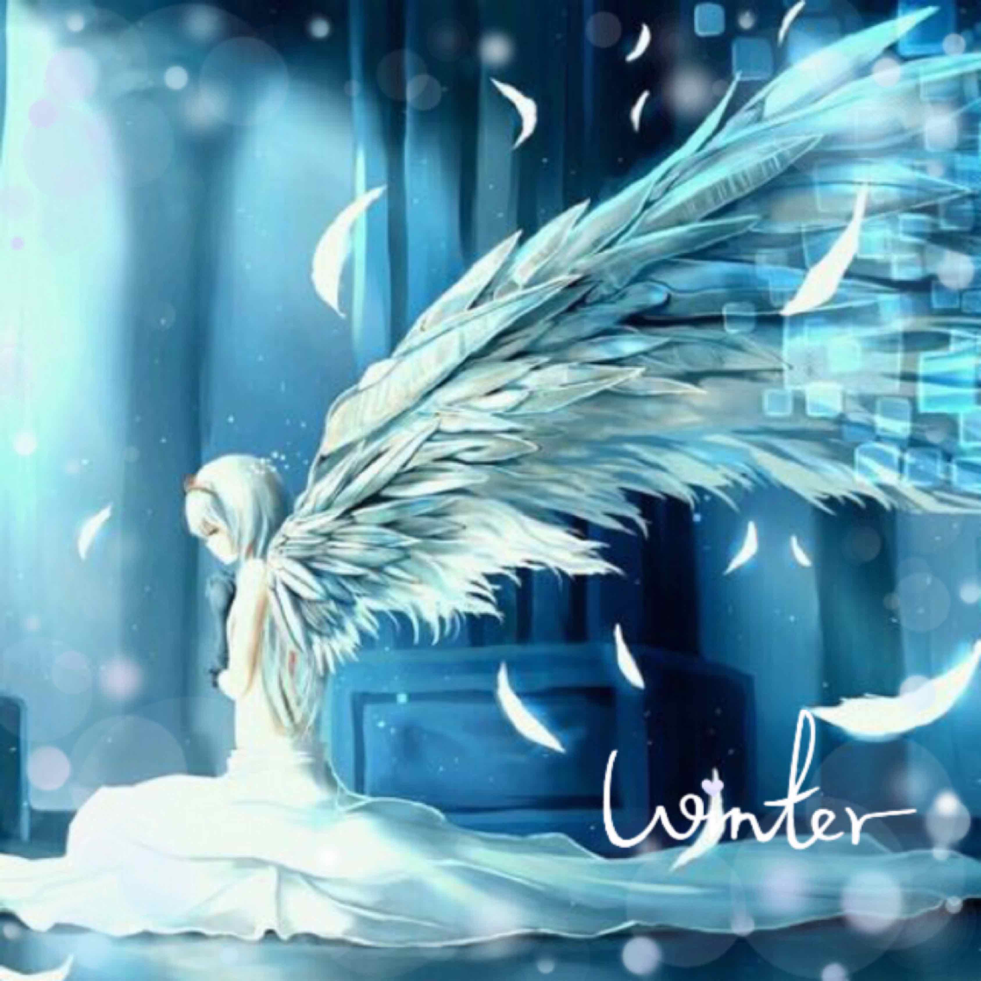 幻境天使酱的头像