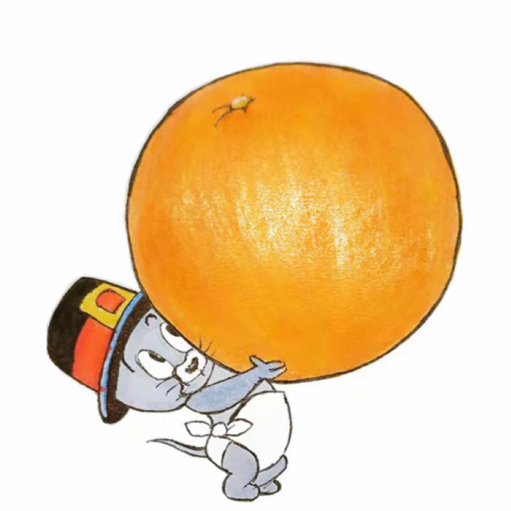 五歌和大橙子的头像图片