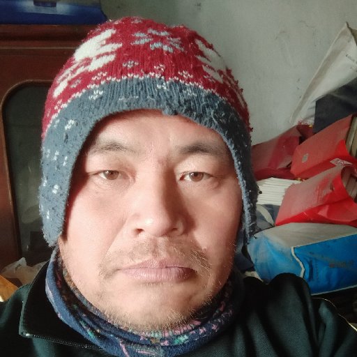 老杆儿这个东北人的头像