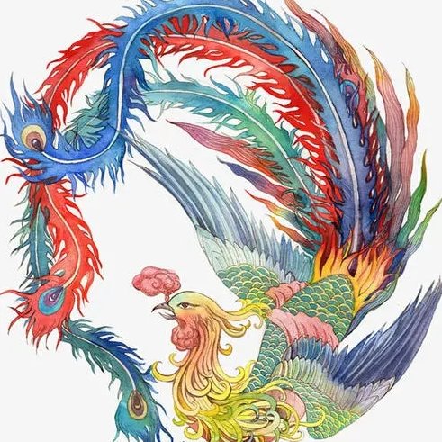 啄小米的凤凰的头像