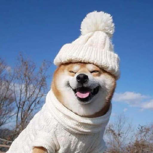 微笑小柴犬的头像