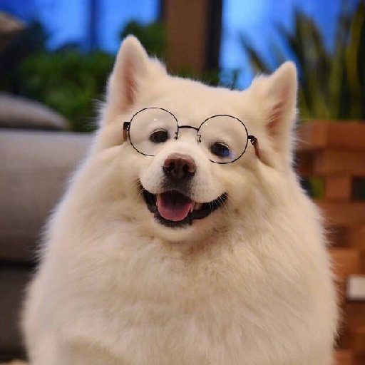 小狗头像戴眼镜图片