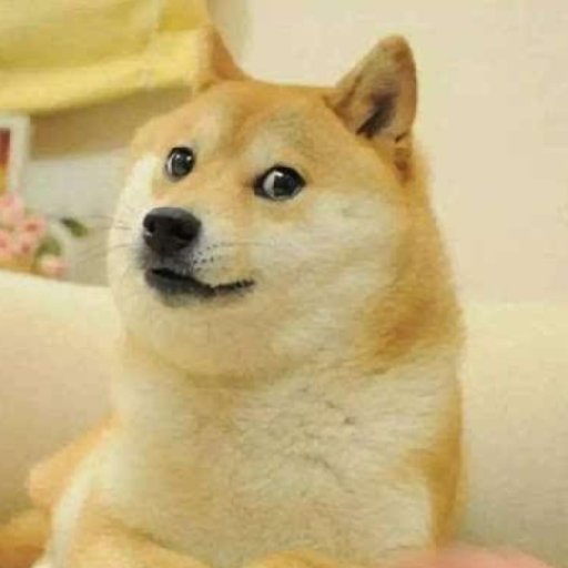 阿柴席地而坐的头像