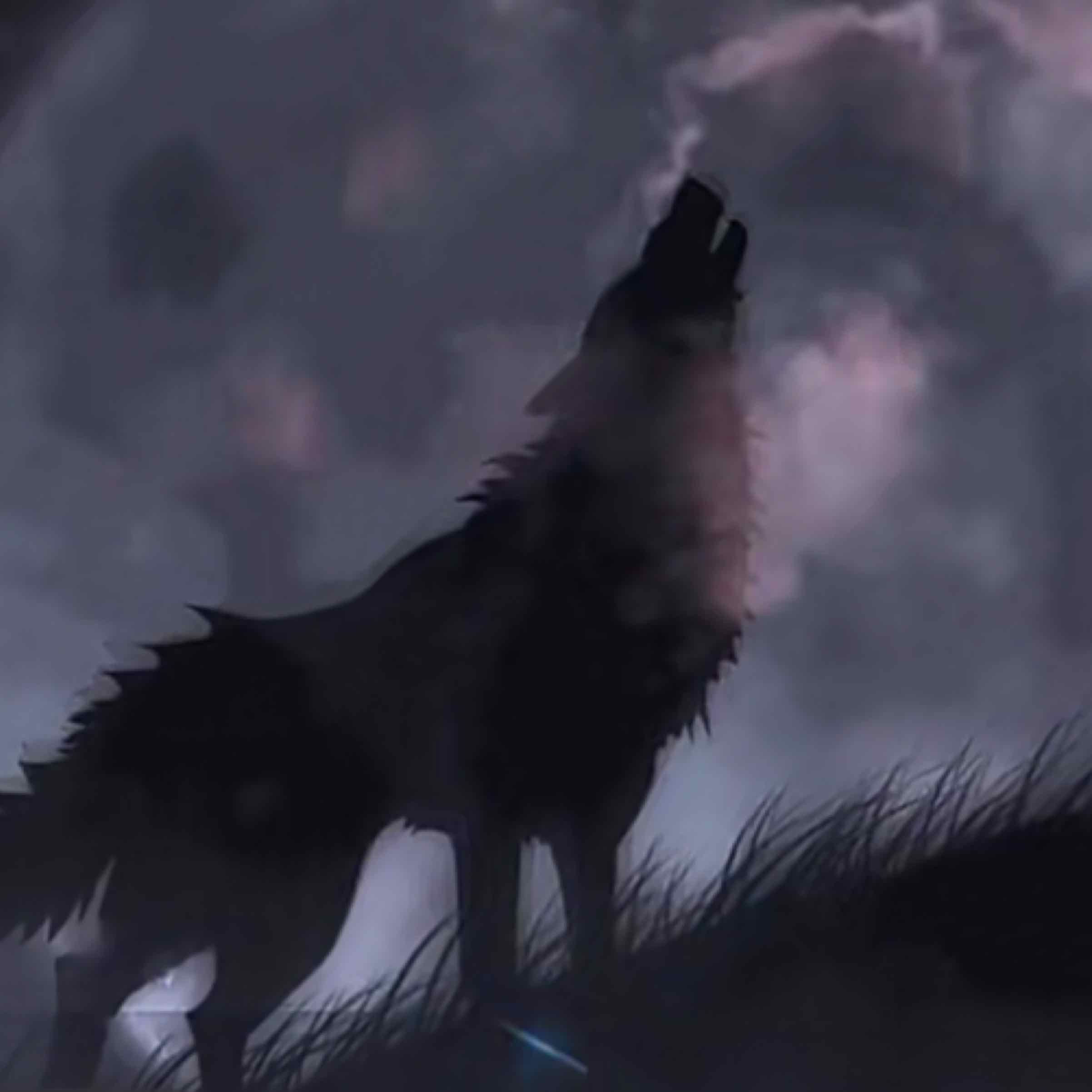 天煞冥狼的头像