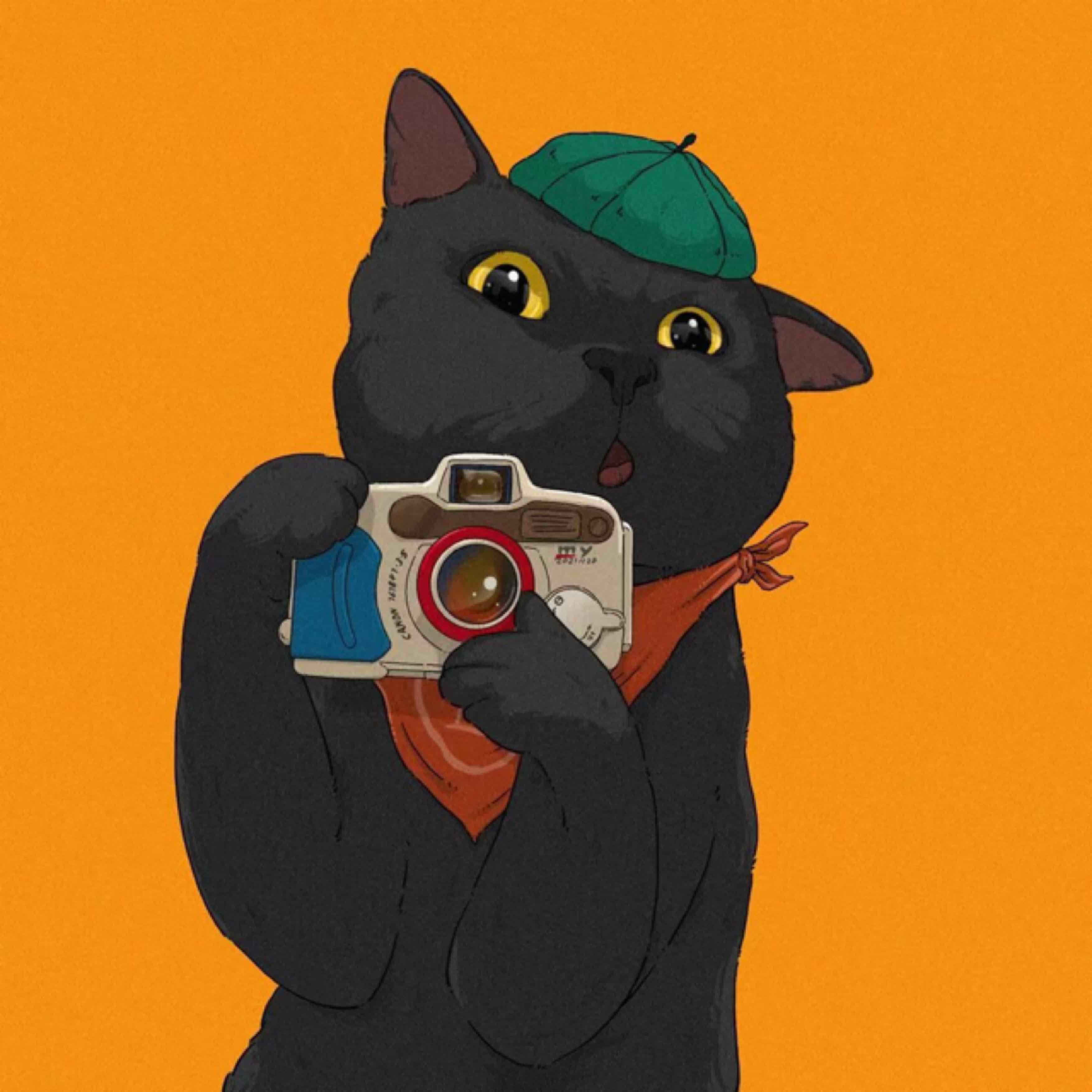 汤姆谢尔比的头像