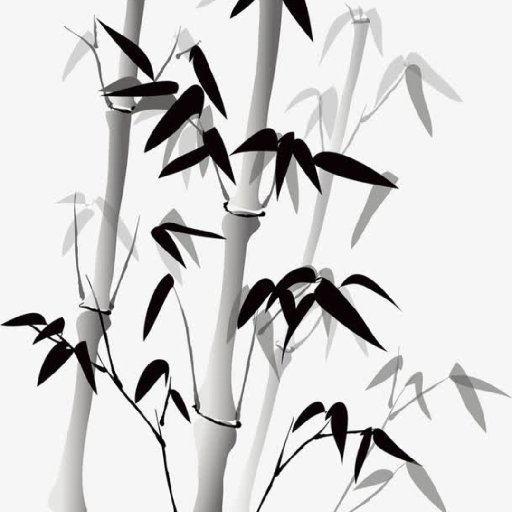 爱吃竹子的兔子的头像