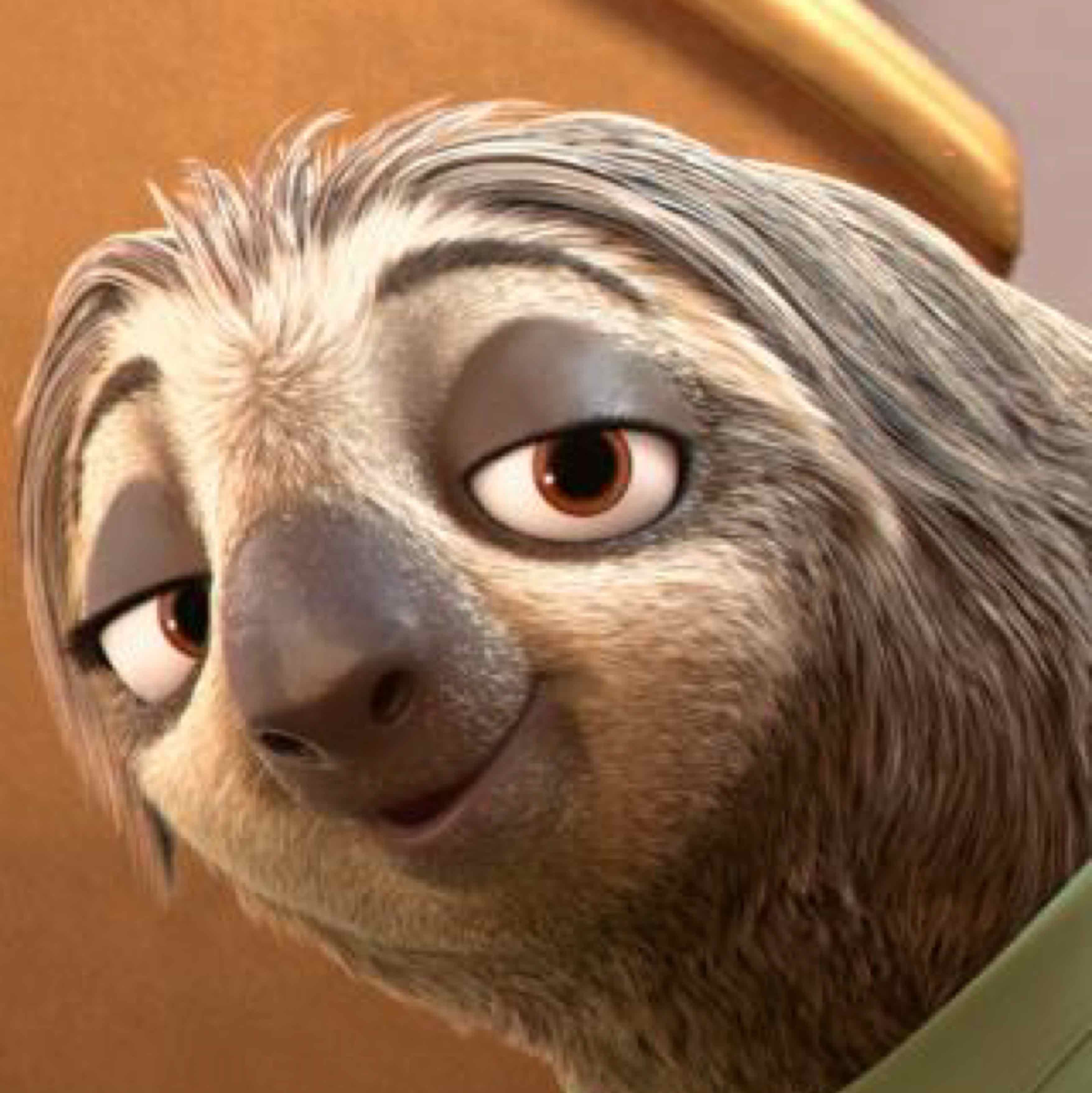 敏捷的树懒的头像