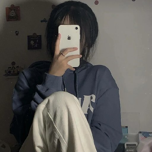 挽风迎夜的头像
