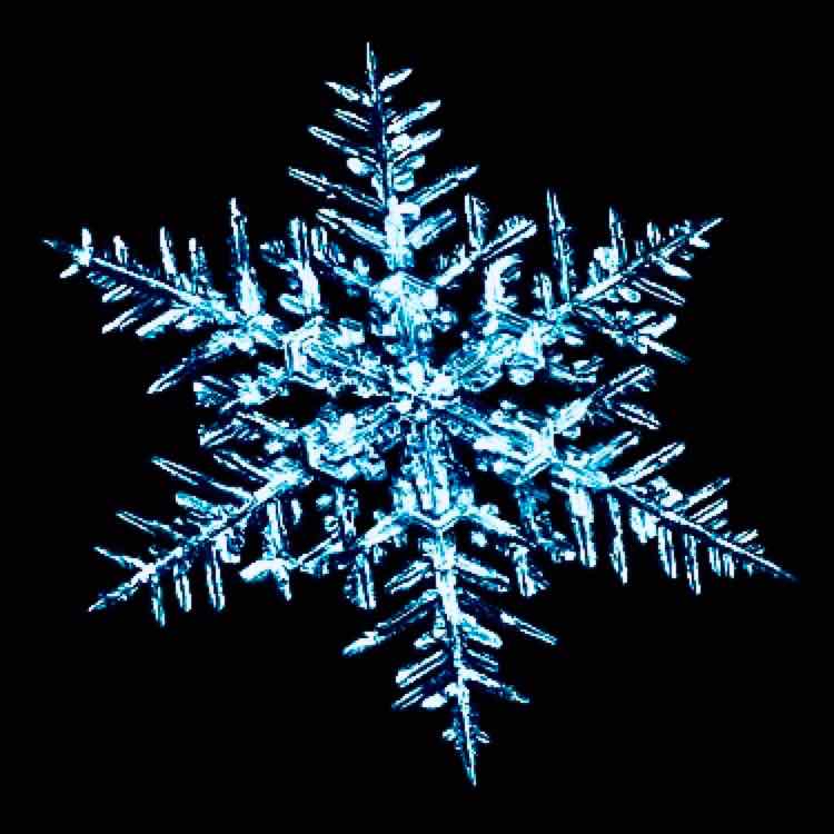 冰晶与雪花的头像