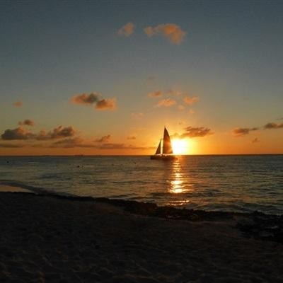 准备远航的牛的头像