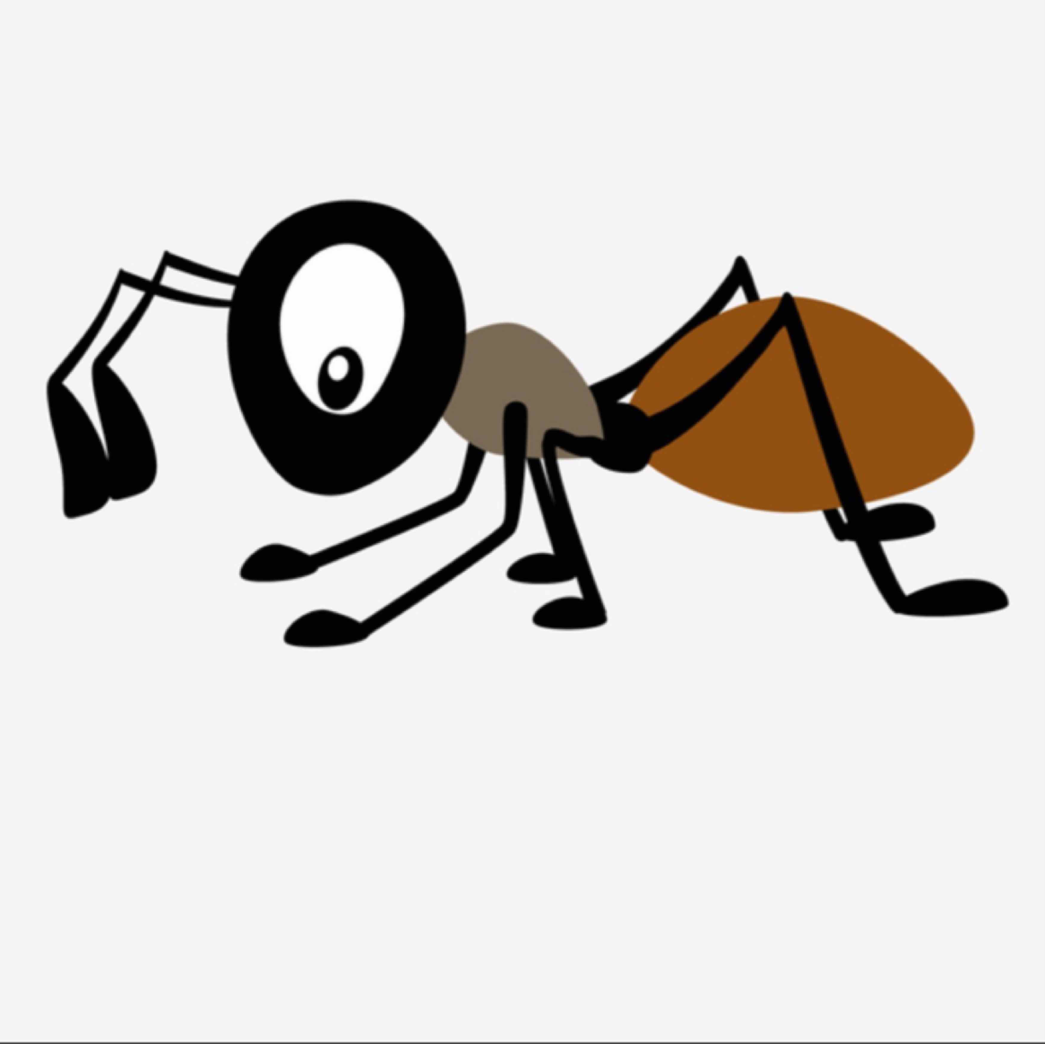 南方蝼蚁的头像