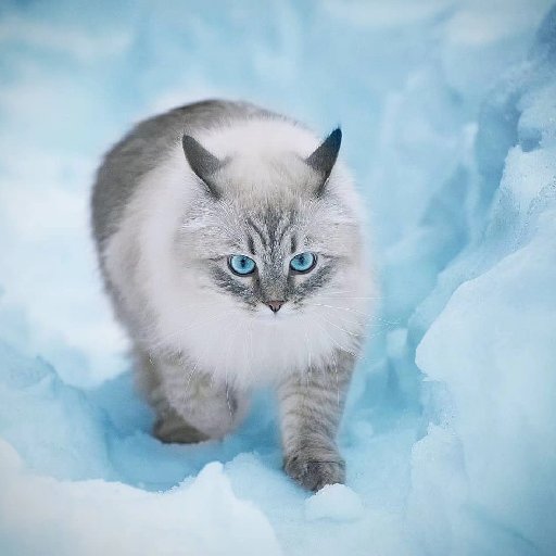 猫狗躲猫猫全部小说作品 猫狗躲猫猫最新好看的小说作品 起点中文网