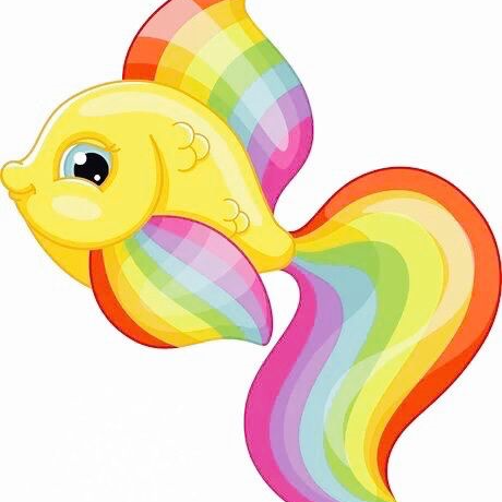 彩虹鱼的头像