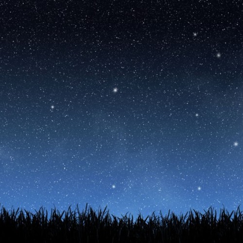 星夜梦龙的头像