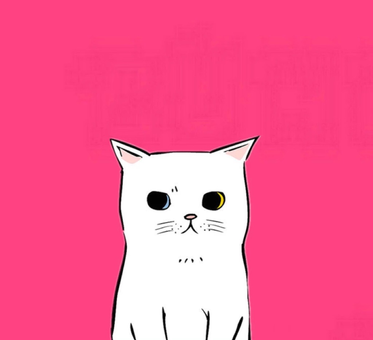 Котик жирнотик